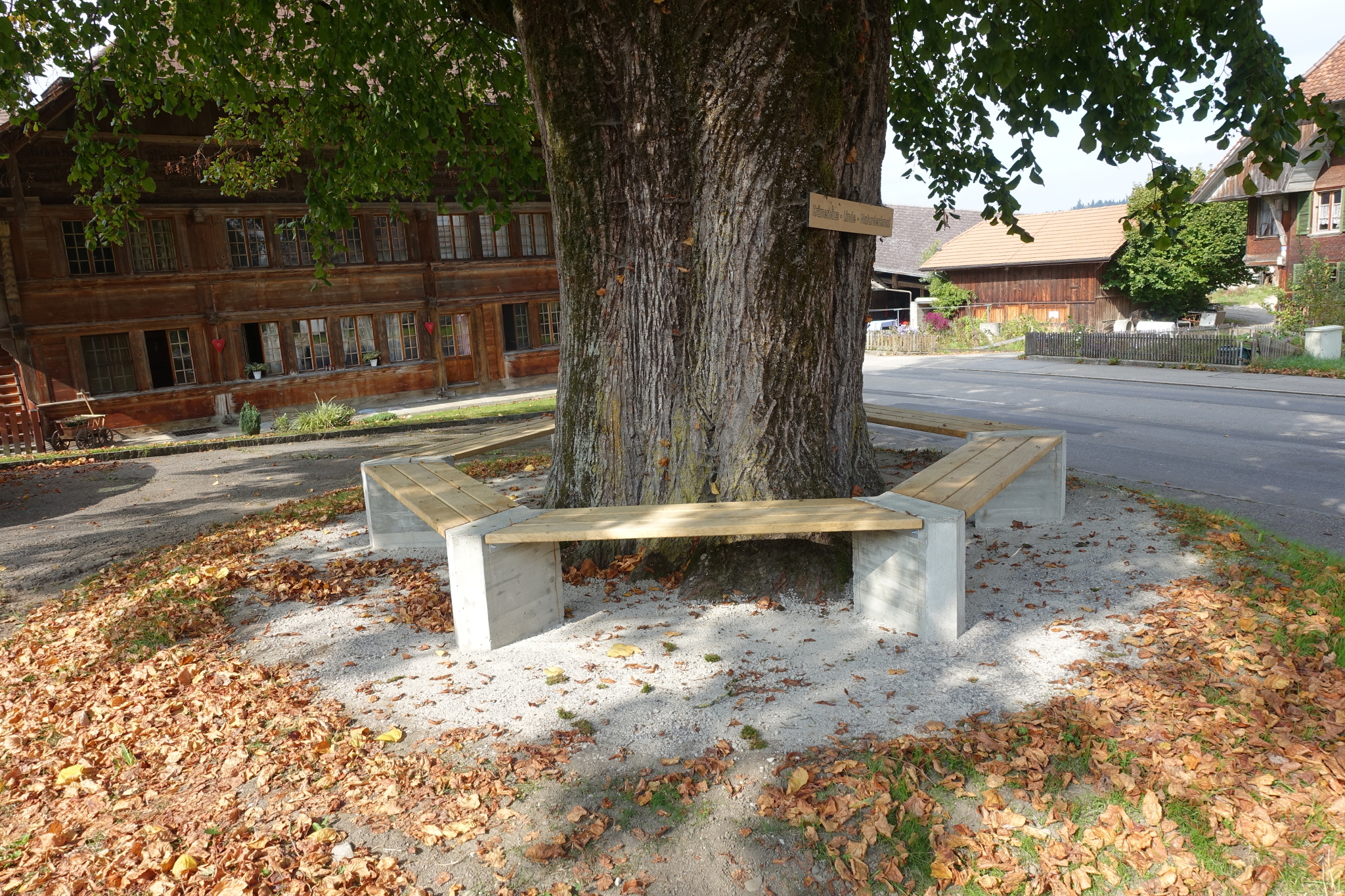 Eine neue Sitzbank für die Krämerhauslinde | Benjamin Stocker-Zaugg