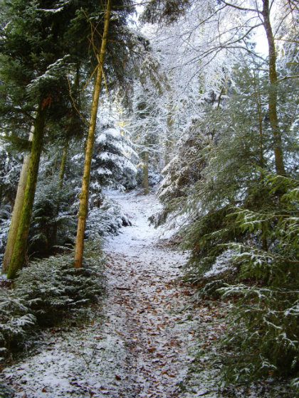 Steinberg Weg steinberg