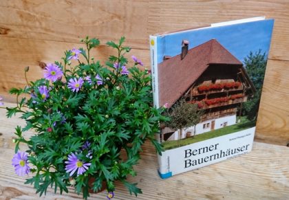 Berner Bauernhäuser Berner Bauernhäuser